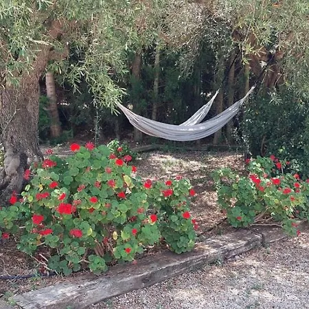 Landhuisvilla Pardalot Bed & Breakfast Calig