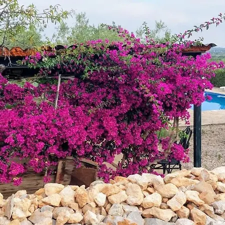 Bed & Breakfast Landhuisvilla Pardalot Calig