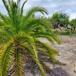 Pardalot -rooms- Benicarló