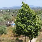 Pardalot -rooms-