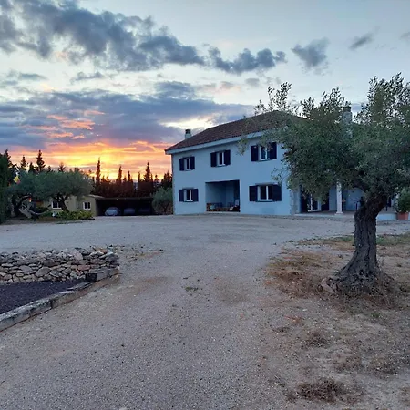 Pardalot Boutique Benicarló