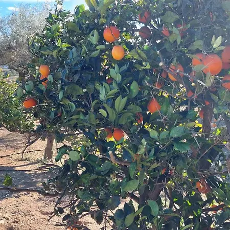 Pardalot -rooms- Villa