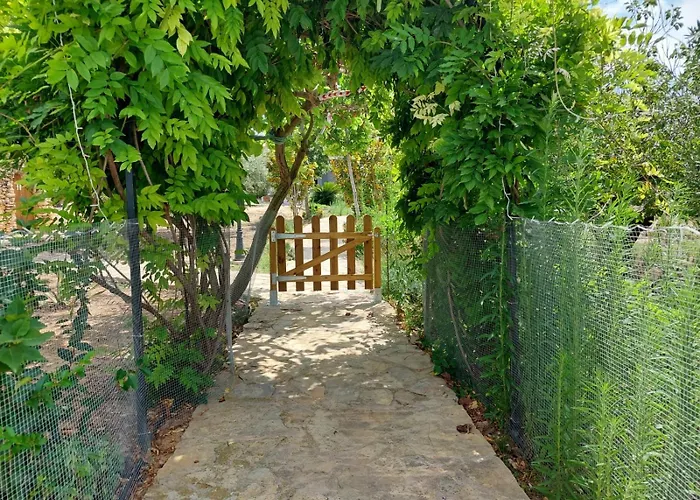 Pardalot -rooms- Benicarló