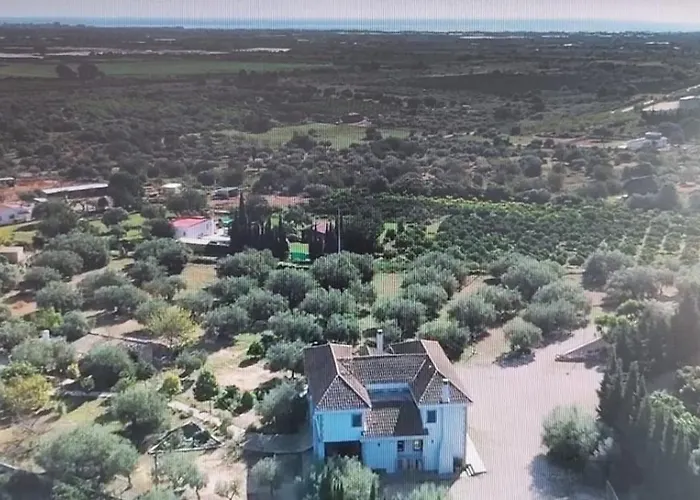Pardalot -rooms- * Benicarló